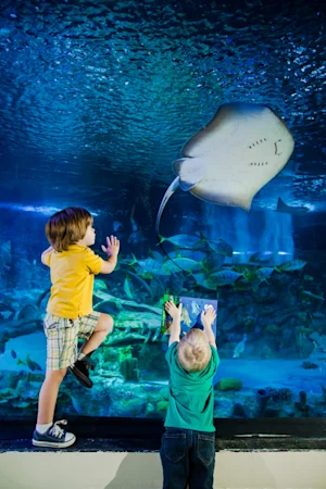 Sea Life London Standard Entry