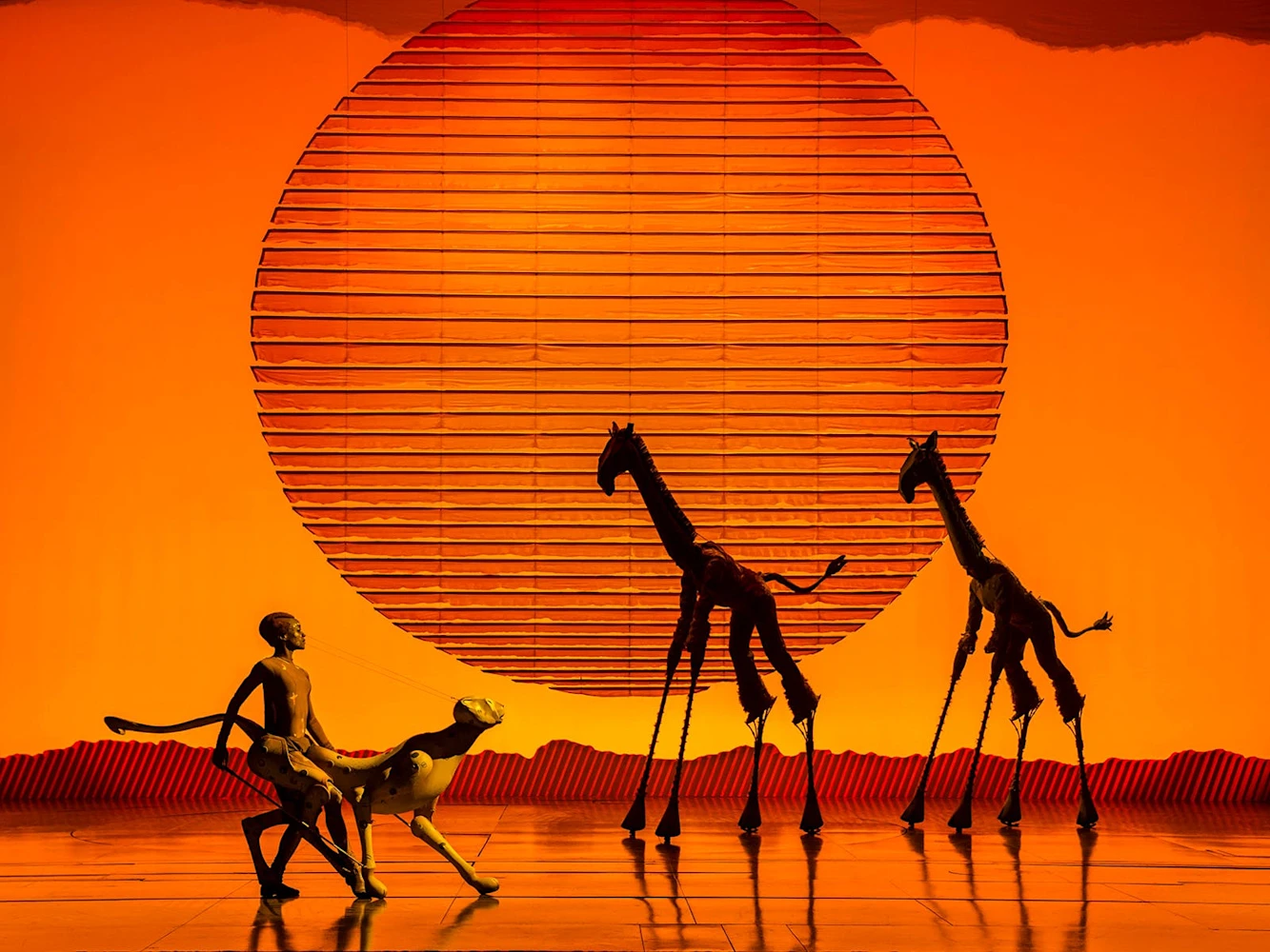 The Lion King : What to expect - 5