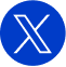 LT Twitter SVG